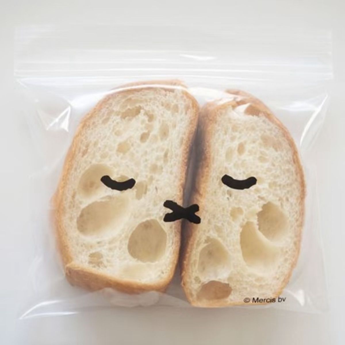 Bolsa de Almacenamiento para M - Food Storage With Dividers reseña y precio